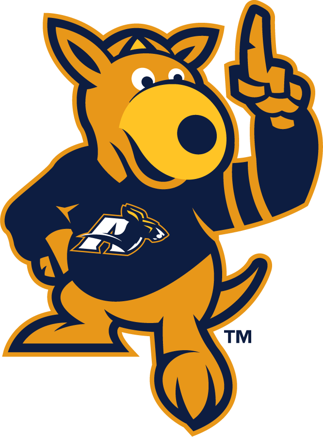 Akron Zips 2008-2015 Mascot Logo iron on transfers for T-shirts